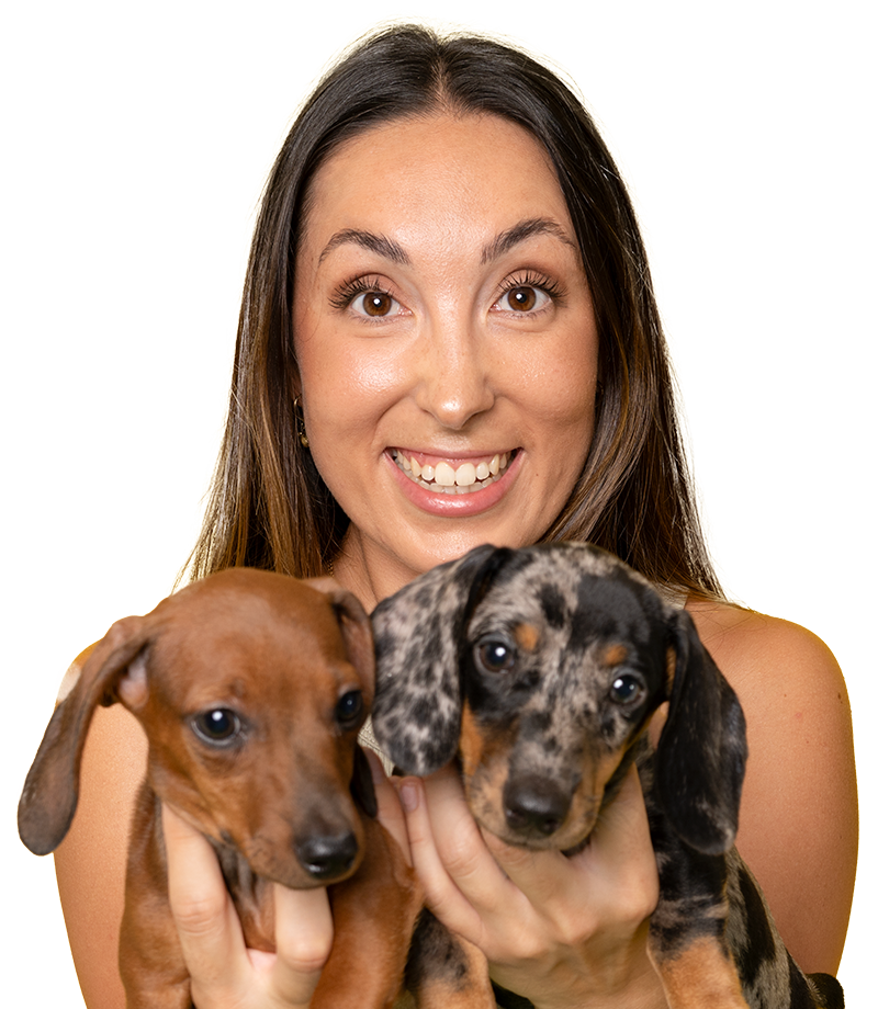 We understand pet parents