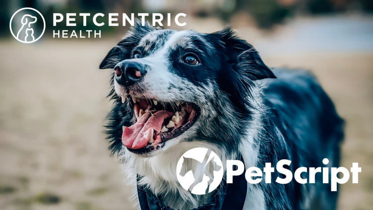 PetCentric Health Partners with PetScript Compounding Pharmacy to Enhance Pet Medication Access and Care
