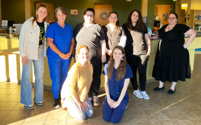 Veterinary Practice News Feature Article