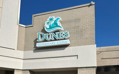 Dunes Veterinary Clinic Joins PetCentric Health Family, Expanding Access to Innovative Pet Healthcare in Myrtle Beach, SC
