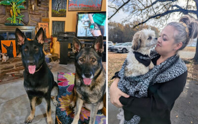 Health care for pet kids can batter budgets. What can loving parents do?