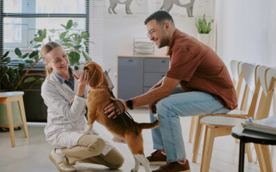 PetCentric Health improves quality of life for veterinarians, pets and pet parents